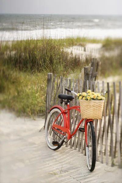 Rower na plaży. — Zdjęcie stockowe