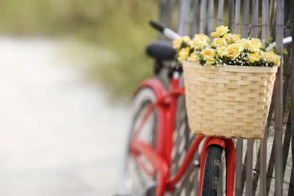 Bike with flowers. — Stock Photo, Image