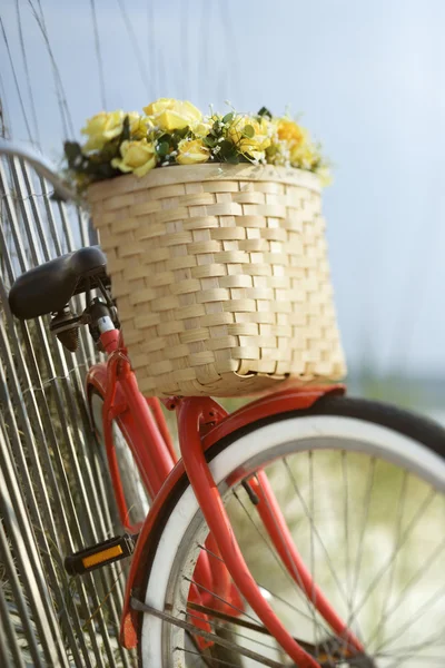 用鲜花的自行车. — 图库照片
