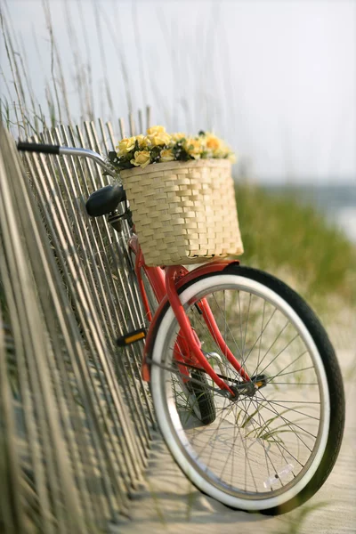 Cykel med blommor. — Stockfoto