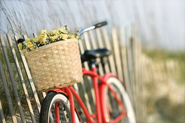 花と自転車. — ストック写真