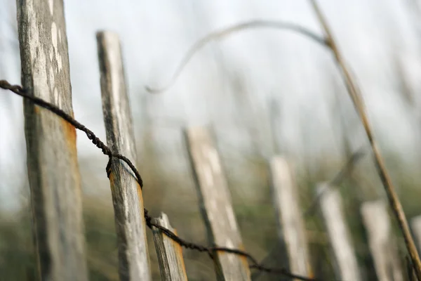 Wooden beach fence. — Stock Photo, Image