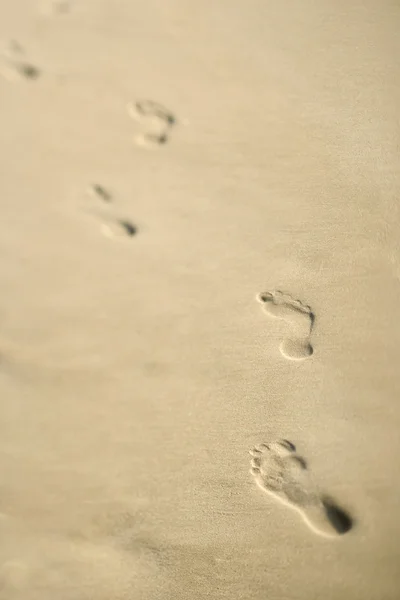 Linea costiera con impronte . — Foto Stock