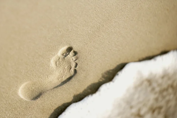 Следы на песке . — стоковое фото
