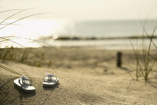 Сандалии на пляже . — стоковое фото