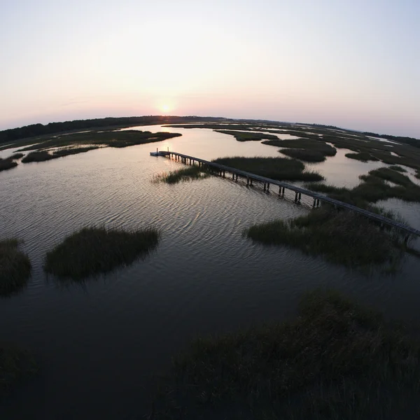 Kust wetland met pier. — Stockfoto