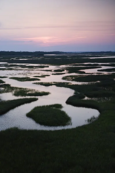 Aerial of wetland. — Stock Photo, Image
