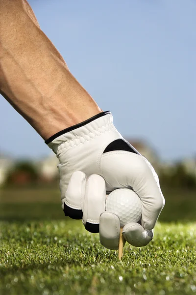 Golfer plaatsen tee en bal — Stockfoto