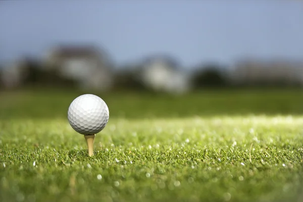 Мяч для гольфа на поле. — стоковое фото