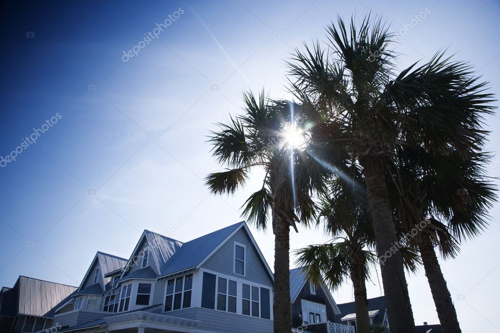 House with palms.