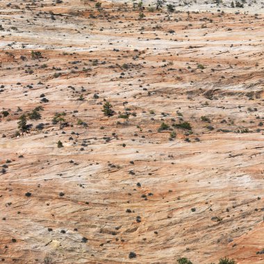 Zion national park.