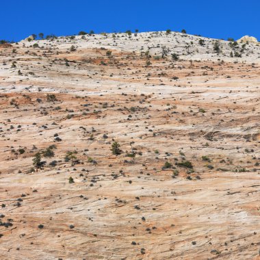 Zion Ulusal Parkı, Utah.