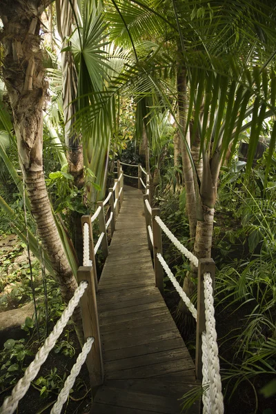 Wooden pathway at Lisbon Aquarium. — Stock Photo, Image