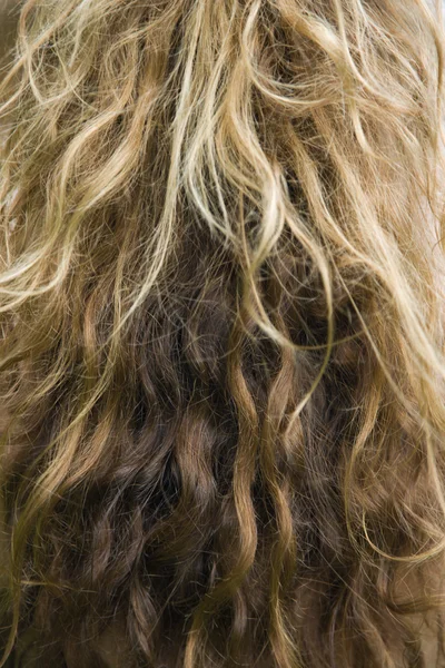 Long wavy hair. — Stock Photo, Image