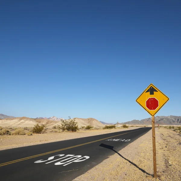 Cesta v poušti. — Stock fotografie