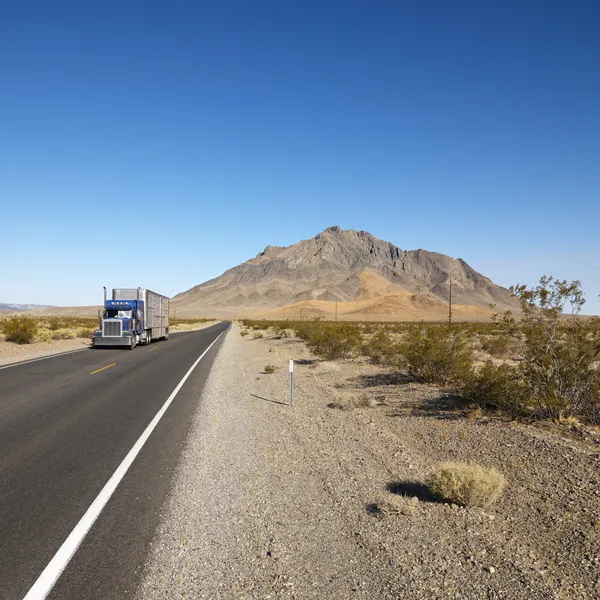 Vrachtwagen woestijn onderweg. — Stockfoto