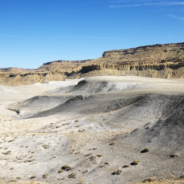 Nyárfa kanyont, utah. — Stock Fotó