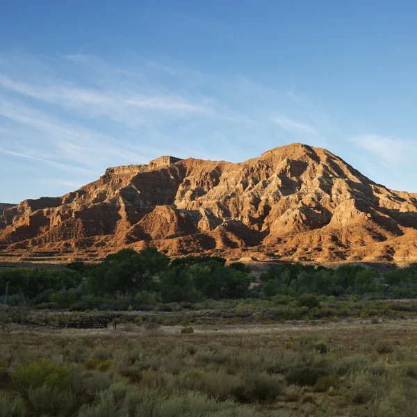 Parque Nacional Zion, Utah. — Foto de Stock