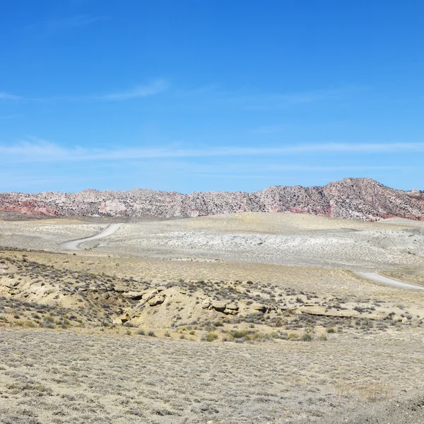 Sivatag, nyárfa kanyont. — Stock Fotó