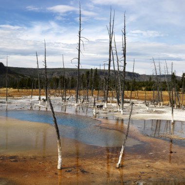 Yellowstone Ulusal Parkı, Wyoming.