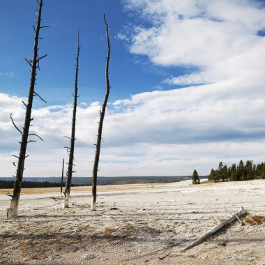 Yellowstone Parkı, wyoming.