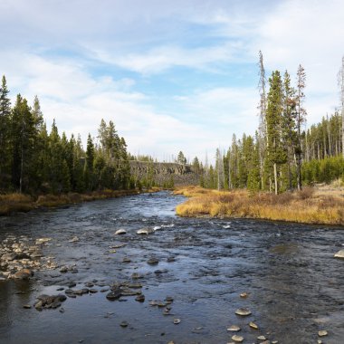 Stream in Yellowstone Park. clipart