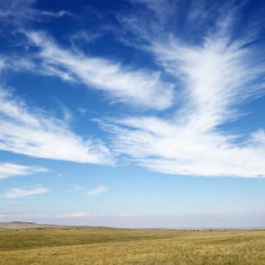 Field and sky. clipart