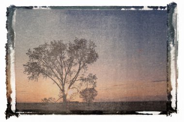 Polaroid transfer peyzaj.