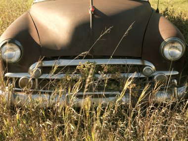 Antique car in field. clipart