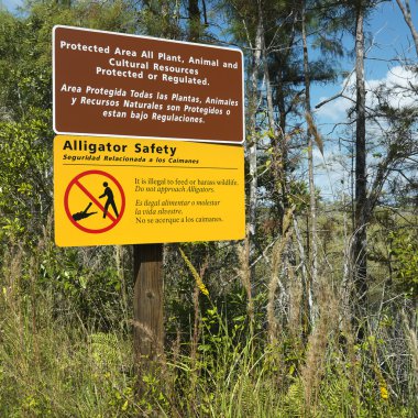 Sign in Florida Everglades. clipart