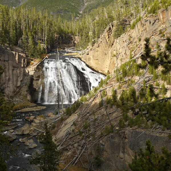 Waterfall in Yellowstone Park. — Stock Photo, Image