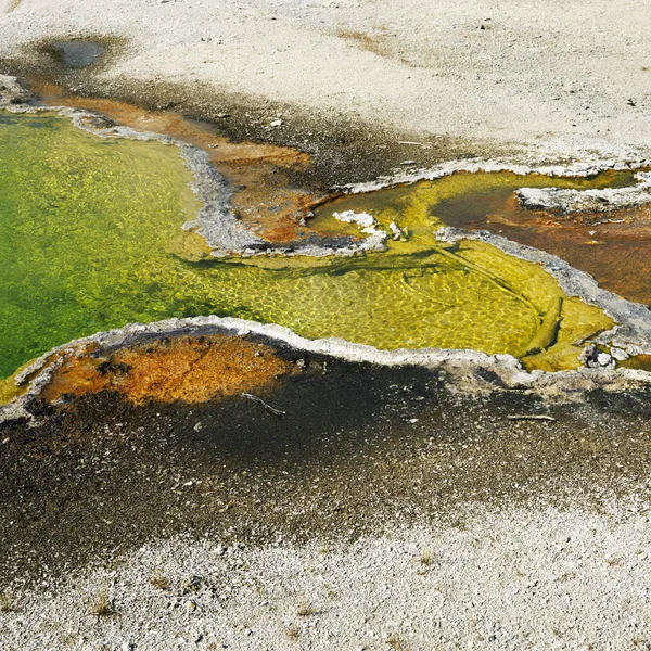 Geyser basin v yellowstone. — Stock fotografie