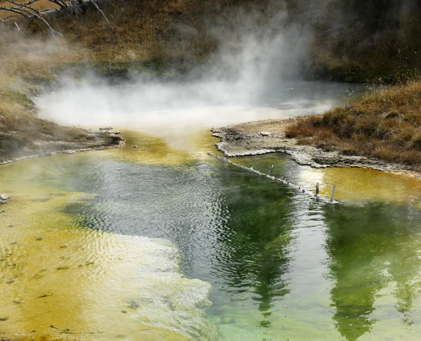 stock image Yellowstone National Park.