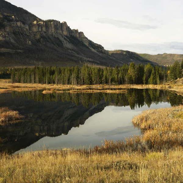 Wyoming mountain landscape. — Stock Photo, Image