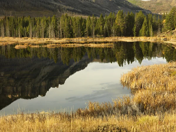 Wyoming mountain landscape. — Stock Photo, Image