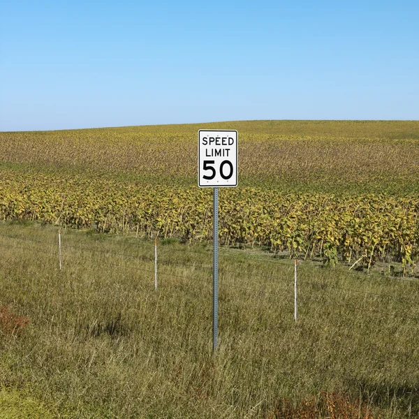 Знак обмеження швидкості в сільській місцевості . — стокове фото