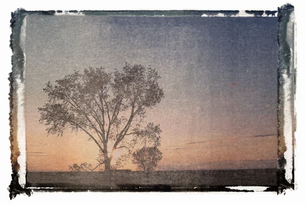 Polaroid överföring landskap. — Stockfoto