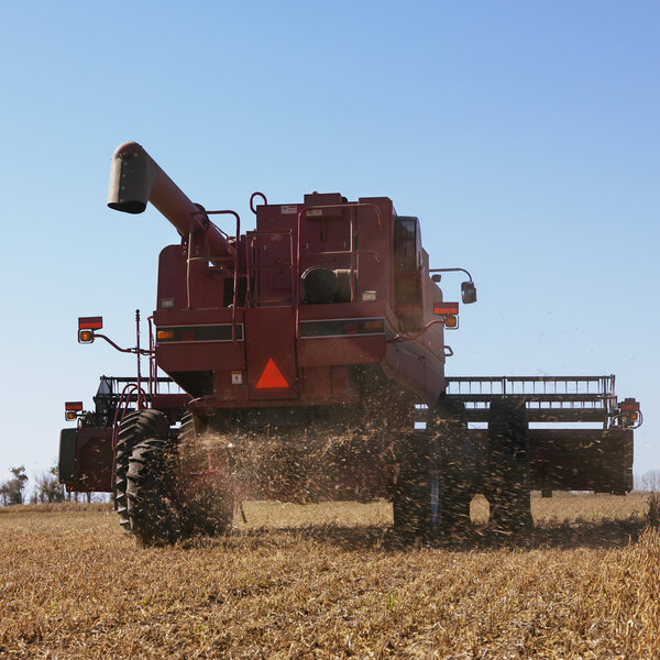 Combine harvesting soybeans.