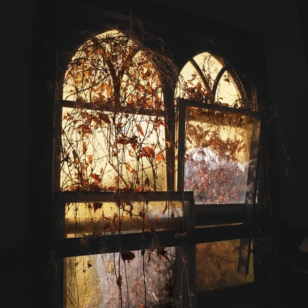 Arched windows. — Stock Photo, Image