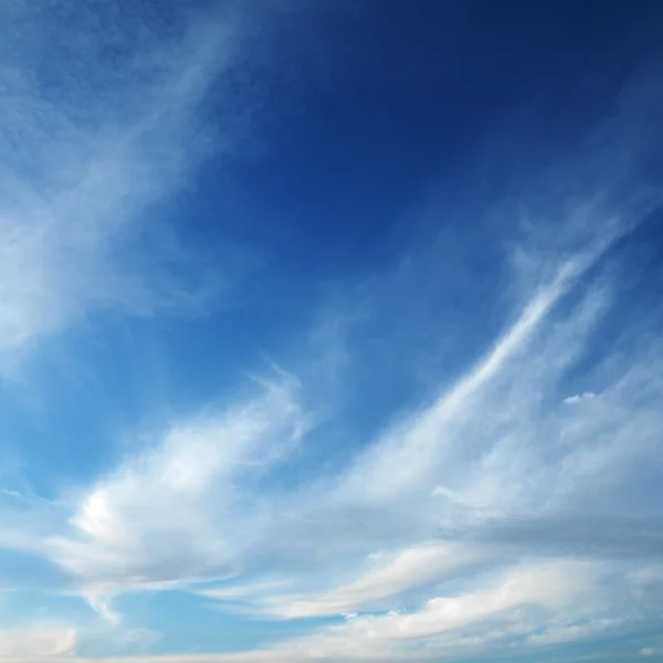 Cirrusmoln i himlen. — Stockfoto