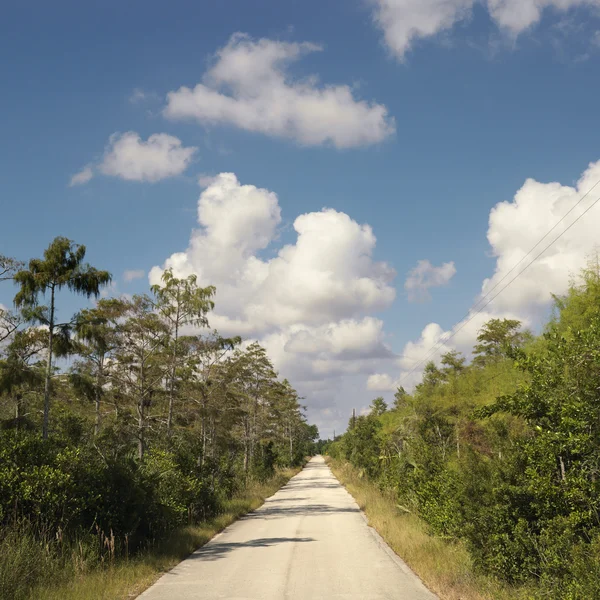 Florida Everglades carretera . — Foto de Stock