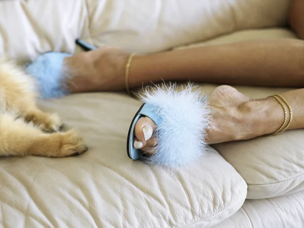 Dog and woman feet. — Stock Photo, Image