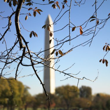 Washington Anıtı.