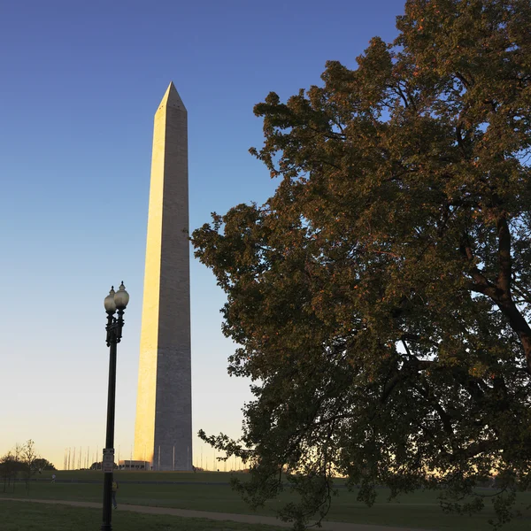 Monument van Washington. — Stockfoto