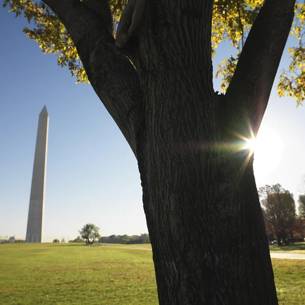 Pomnik Waszyngtona. — Zdjęcie stockowe