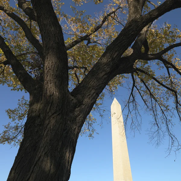 Washingtonský památník. — Stock fotografie