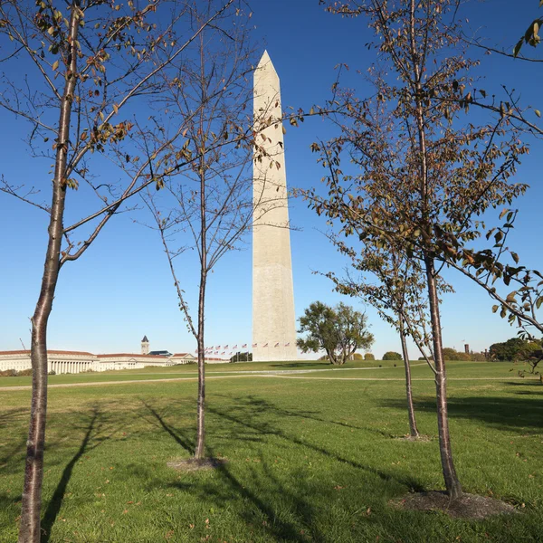 Washington-Denkmal. — Stockfoto