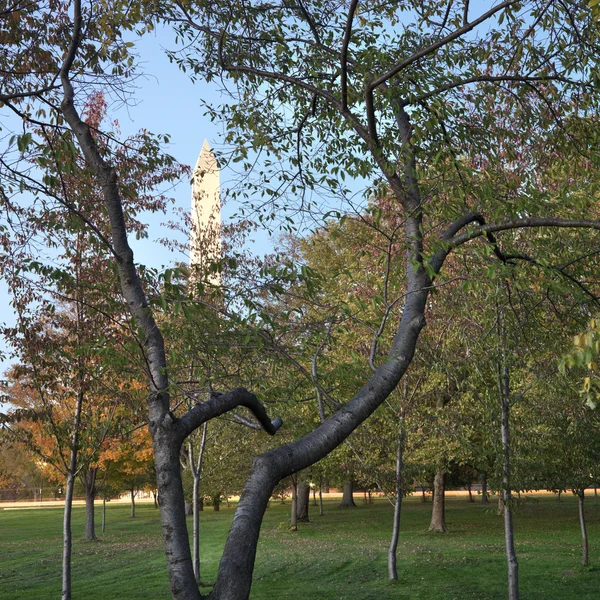 Памятник Вашингтону. — стоковое фото