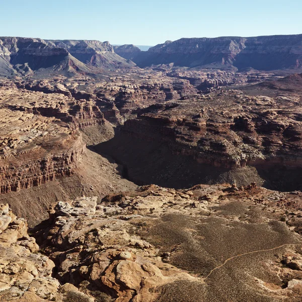 Grand canyon luchtfoto. — Stockfoto