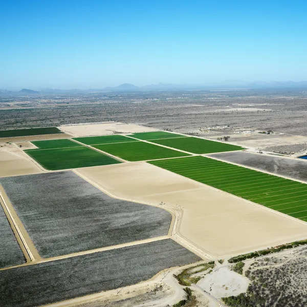 Aerial croplands. — Stock Photo, Image